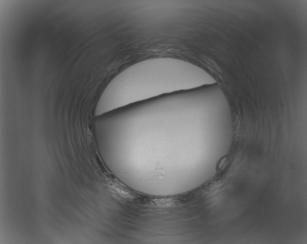 X0000052930377200507080833