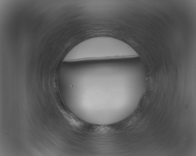 X0000052930379200507080833