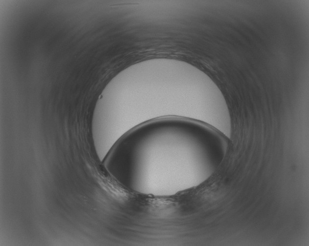 X0000052930380200507080833