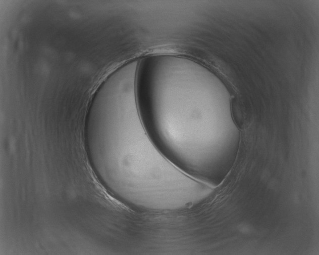 X0000052930385200507080832