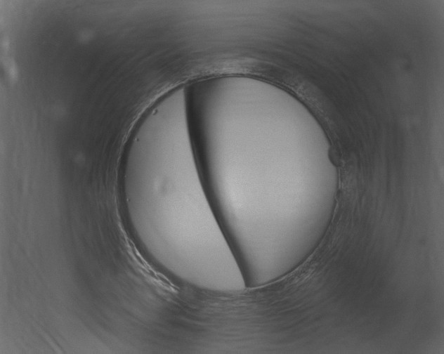 X0000052930386200507080832