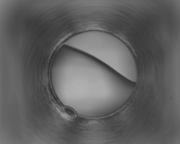 X0000052930390200507080832