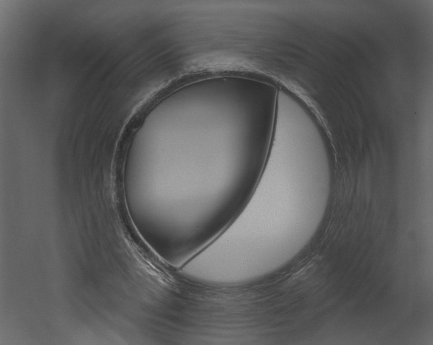 X0000052930391200507080832