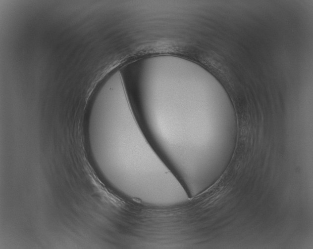 X0000052930394200507080832