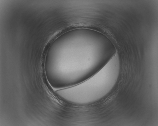 X0000052930395200507080832