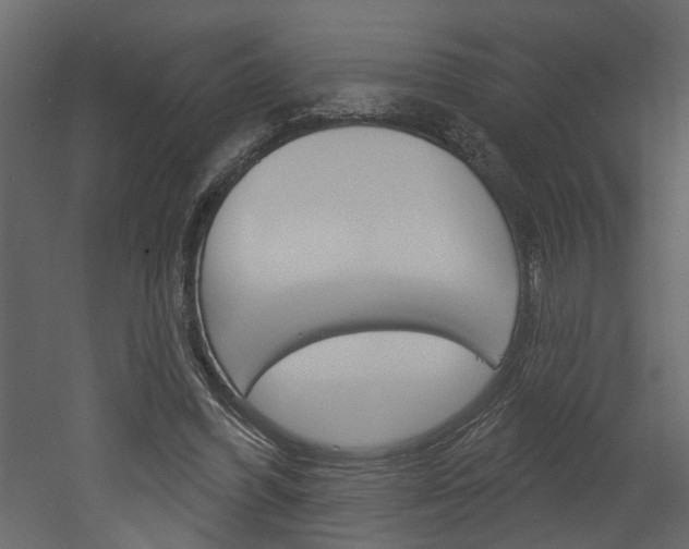 X0000052930396200507080832