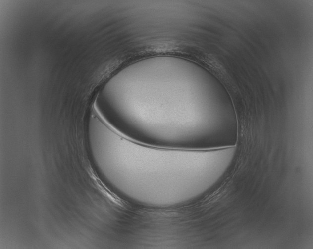 X0000052930397200507080832