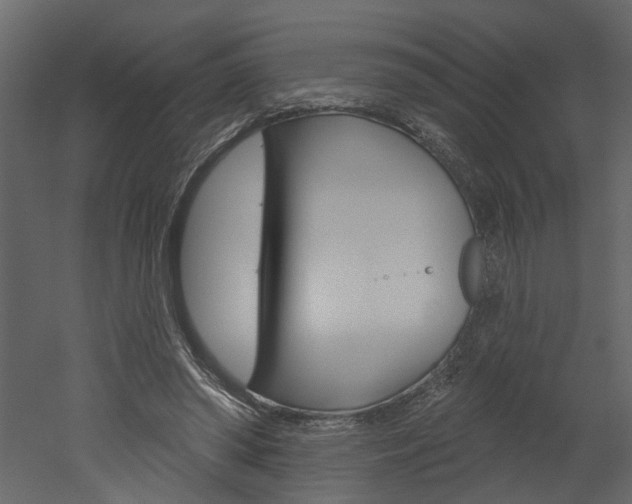 X0000052930398200507080832