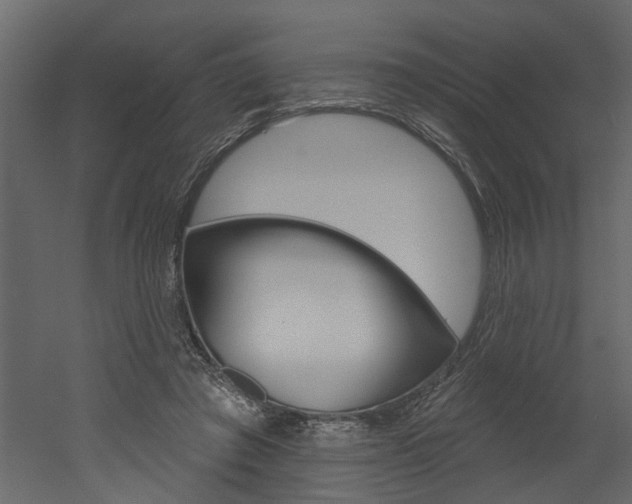 X0000052930401200507080832