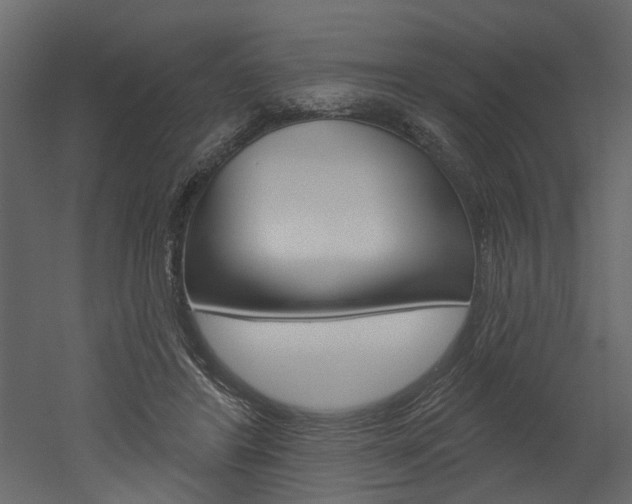 X0000052930404200507080832