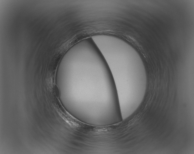 X0000052930405200507080832