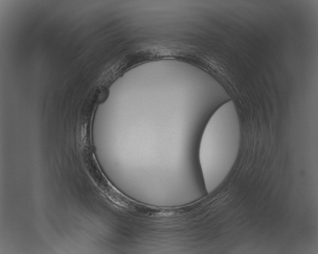 X0000052930406200507080832