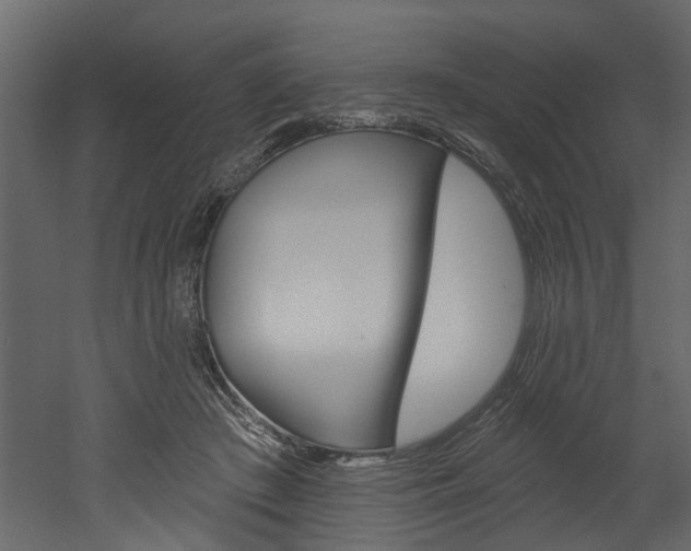 X0000052930409200507080832