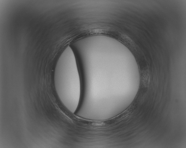 X0000052930410200507080832