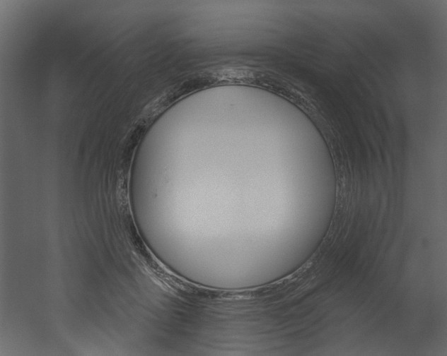 X0000052930411200507080832