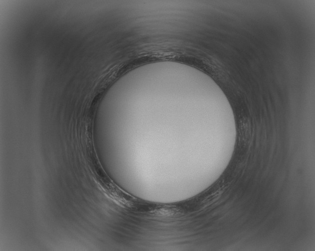 X0000052930412200507080832