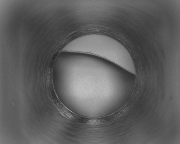 X0000052930413200507080832