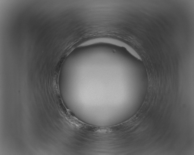 X0000052930415200507080832