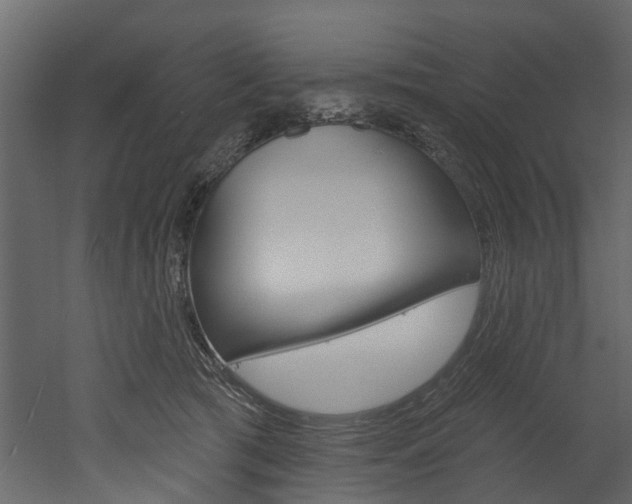 X0000052930417200507080832