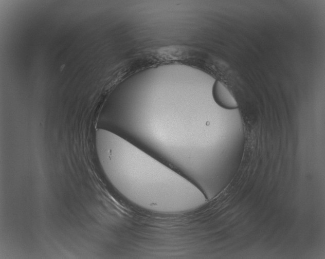 X0000052930418200507080832