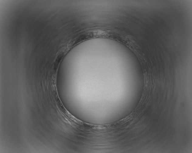 X0000052930419200507080832