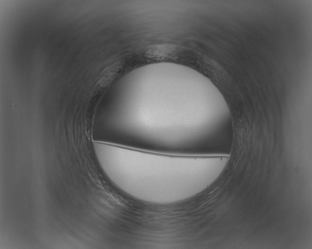 X0000052930420200507080832