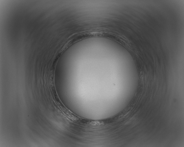 X0000052930421200507080832
