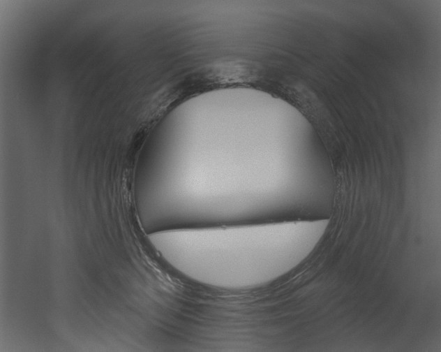 X0000052930422200507080832