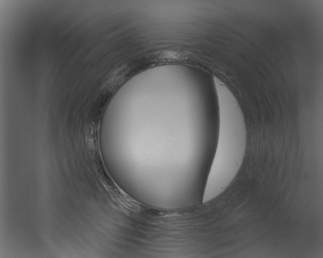 X0000052930423200507080832