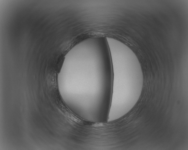 X0000052930425200507080832