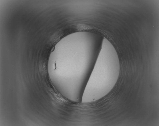 X0000052930426200507080832