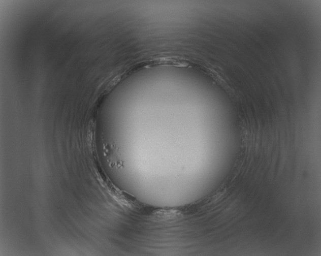 X0000052930427200507080832