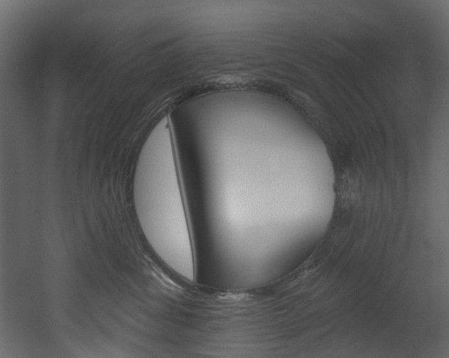 X0000052930428200507080832