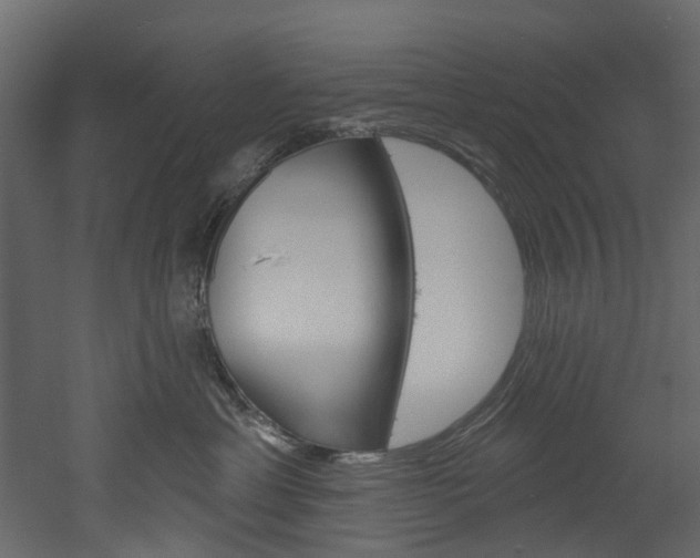 X0000052930429200507080832