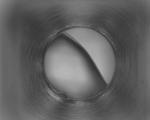 X0000052930441200507080831