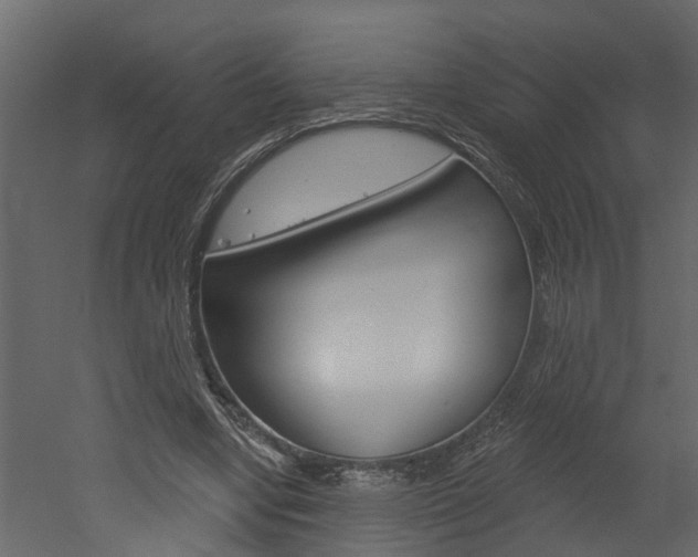 X0000052930442200507080831