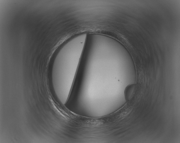 X0000052930443200507080831