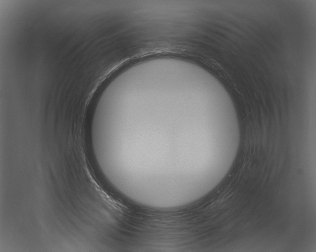 X0000052930444200507080831
