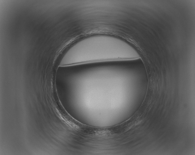 X0000052930446200507080831
