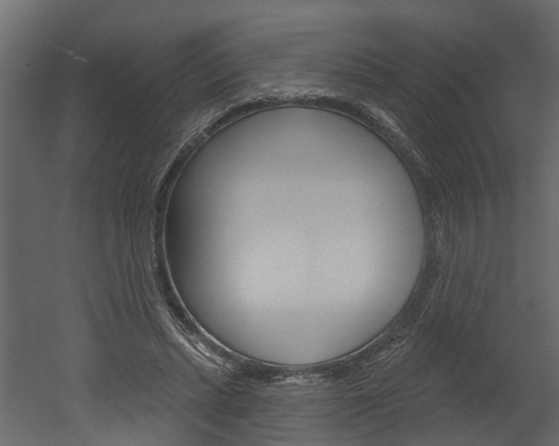 X0000052930447200507080831
