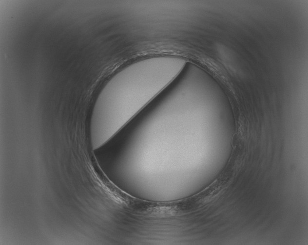 X0000052930449200507080831