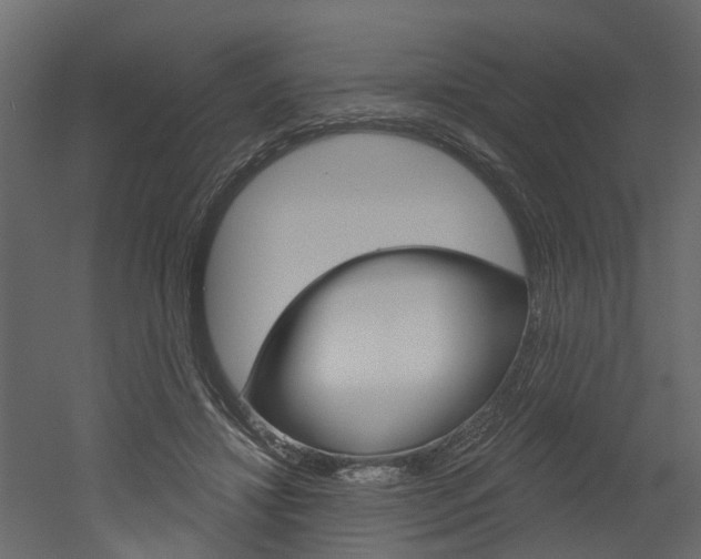 X0000052930452200507080831