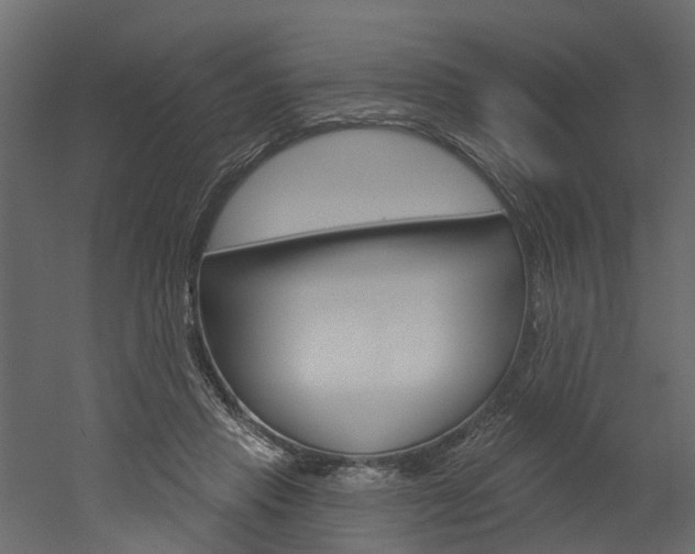 X0000052930453200507080831
