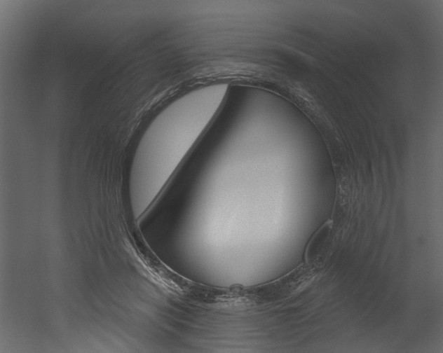 X0000052930454200507080831