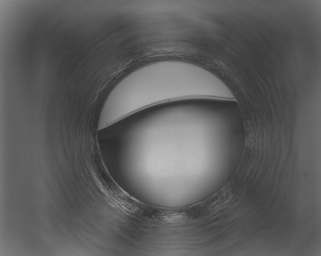 X0000052930456200507080831