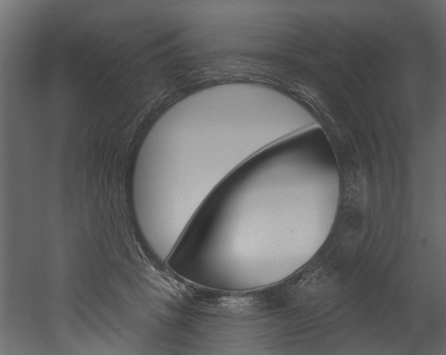 X0000052930457200507080831