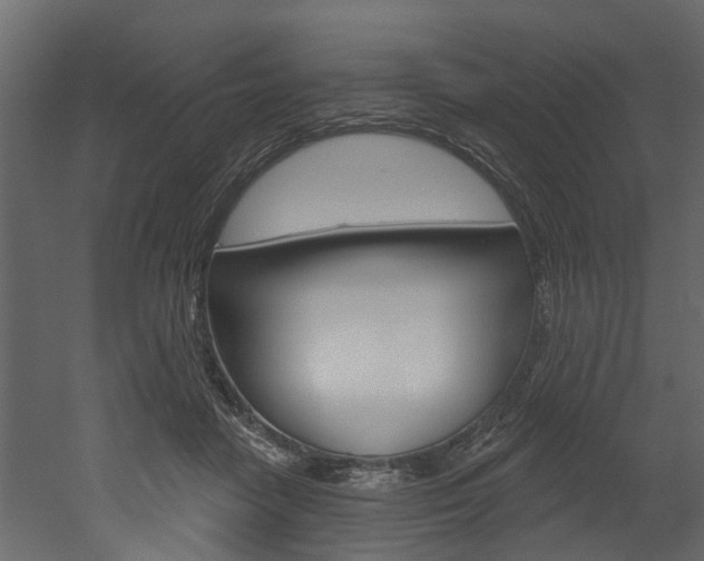 X0000052930458200507080831