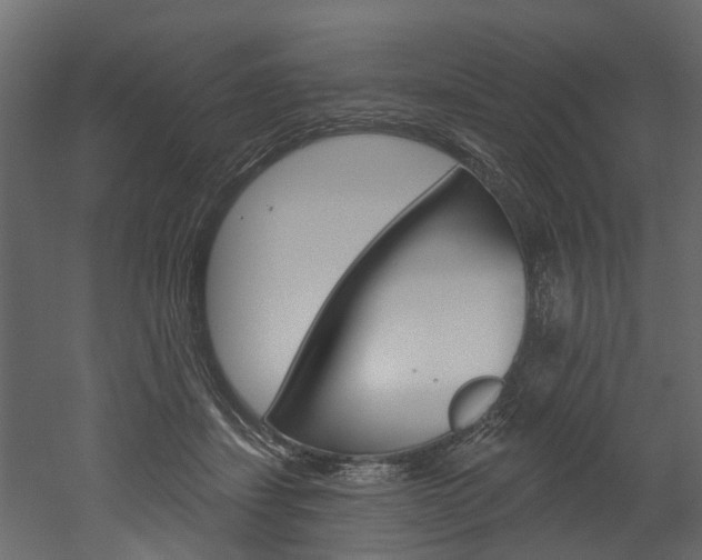X0000052930459200507080831