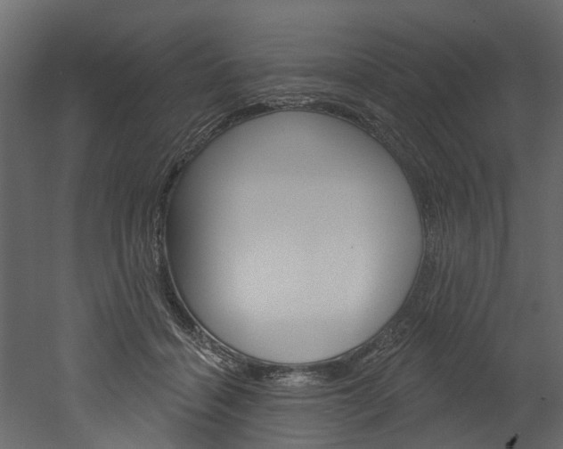 X0000052930460200507080831