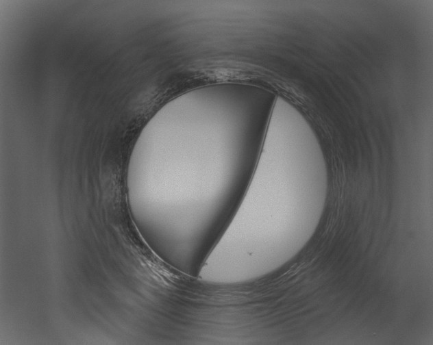 X0000052930461200507080831